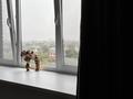 1-комнатная квартира · 42.3 м² · 8/9 этаж, Сатыбалды Дауымова за 28 млн ₸ в Уральске — фото 7