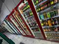 Магазин продуктовый · 160 м² за 23 млн ₸ в Астане, Нура р-н — фото 11