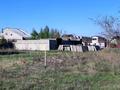 Участок · 8 соток, Сосновая 5 — Корчагина за 15 млн ₸ в Рудном — фото 8