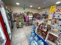 Магазины и бутики • 130 м² за 90 млн 〒 в Кемертогане — фото 9