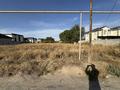 Участок · 6 соток, мкр Кайрат за 80 млн ₸ в Алматы, Турксибский р-н — фото 17
