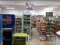 Магазины и бутики • 100 м² за 60 млн 〒 в Шымкенте, Каратауский р-н — фото 9