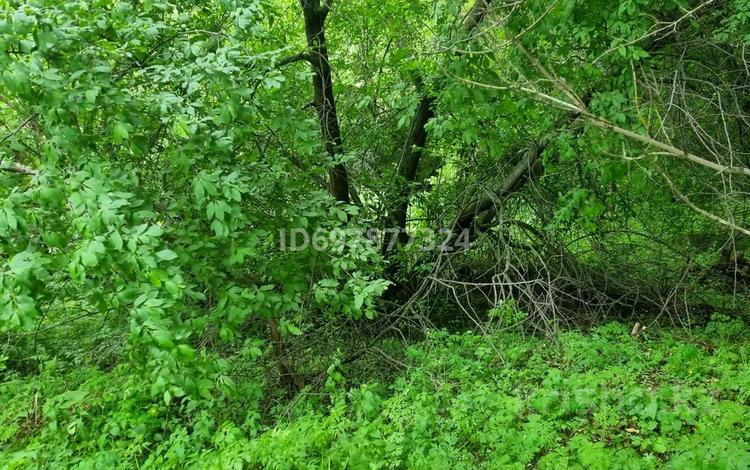 Жер телімі · 100 сотық, Ульбинский, бағасы: 60 млн 〒 в Усть-Каменогорске — фото 2