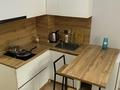 1-бөлмелі пәтер · 27 м², Кунаева 32 — Кунаева-макатаева, бағасы: 10 000 ₸ в Алматы, Медеуский р-н — фото 3