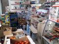 Магазины и бутики • 300 м² за 50 млн 〒 в Шымкенте, Туран р-н — фото 5