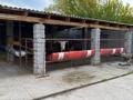Жеке үй · 2 бөлме · 30.56 м² · 15 жүзд., Оразбайұлы 3, бағасы: 23.5 млн ₸ в Шымкенте, Абайский р-н — фото 21