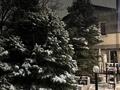 1-комнатная квартира · 45 м², Фучика 118 за 170 000 ₸ в Алматы, Турксибский р-н — фото 12