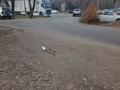 Участок · 88 соток, мкр Кулагер за 770 млн ₸ в Алматы, Жетысуский р-н — фото 2