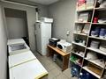 Кафе-Алкомаркет · 130 м² за 19.9 млн ₸ в Усть-Каменогорске — фото 18