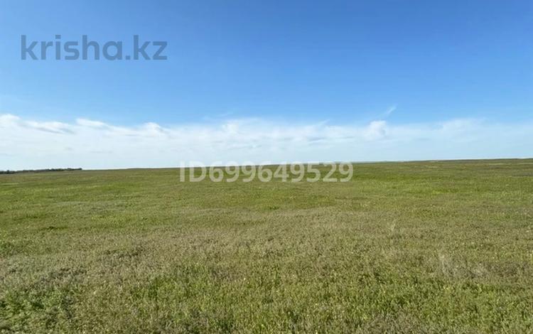 Участок · 100 га, Караой за 7.5 млн ₸ — фото 2