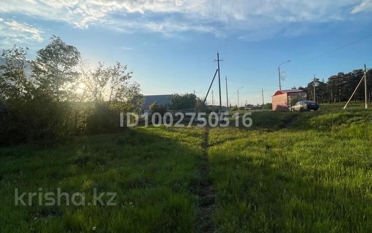 Участок · 12 соток, Пушкина 173/1 за 13 млн ₸ в Акколе — фото 2