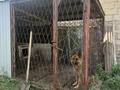 Отдельный дом · 8 комнат · 500 м² · 20 сот., Айтманамбет Есмагамбетулы за 135 млн ₸ в Косшы — фото 54
