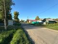 Отдельный дом · 2 комнаты · 40 м² · 14 сот., Набережная 43 за 6.1 млн ₸ в Опытном поле — фото 43