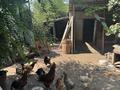 Отдельный дом · 4 комнаты · 55.4 м² · 8.32 сот., Шынкожа Омарова 36 — Тупик за почтой за 40 млн ₸ в Мерке — фото 14