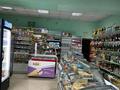 Еркін · 132 м², бағасы: 528 000 ₸ в Темиртау