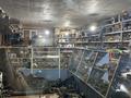 Магазин грузовых запчастей · 500 м² за 120 млн ₸ в  — фото 3