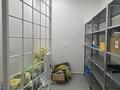 Сұлулық салондары, медорталықтар мен дәріханалар · 250 м², бағасы: 320 млн ₸ в Астане, Алматы р-н — фото 5