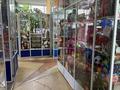 Магазины и бутики · 956 м² за 927 млн ₸ в Кокшетау — фото 19