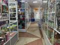 Магазины и бутики · 956 м² за 927 млн ₸ в Кокшетау — фото 21