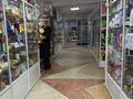 Магазины и бутики · 956 м² за 927 млн ₸ в Кокшетау — фото 23