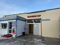 Магазины и бутики · 956 м² за 927 млн ₸ в Кокшетау — фото 9