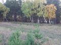 Жер телімі · 7 га, Бурабай (Боровое), бағасы: 350 млн ₸