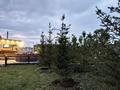 Жеке үй · 8 бөлме · 235 м² · 65 жүзд., Вторая, бағасы: 170 млн ₸ в Костомар — фото 29