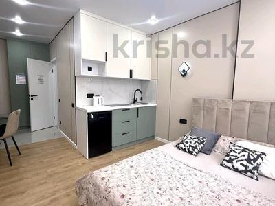 1-комнатная квартира · 22 м² · 1/11 этаж, Роза Багланова 3 за 15 000 ₸ в Астане, Нура р-н