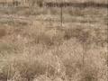 Жер телімі 20 сотық, село Ынтымак, бағасы: 7 млн 〒 в Талдыкоргане, село Ынтымак — фото 2