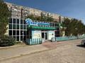 Еркін · 650 м², бағасы: 300 млн ₸ в Аксае — фото 3