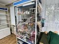 Дүкендер мен бутиктер, қоймалар, сұлулық салондары · 60 м², бағасы: 8.1 млн ₸ в Кушокы — фото 14
