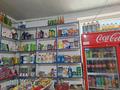 Отдельный дом · 8 комнат · 200 м² · 3.8 сот., Туркестанская 66 — Акпан батыр за 121 млн ₸ в Шымкенте, Аль-Фарабийский р-н