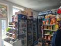 Отдельный дом · 8 комнат · 200 м² · 3.8 сот., Туркестанская 66 — Акпан батыр за 121 млн ₸ в Шымкенте, Аль-Фарабийский р-н — фото 2