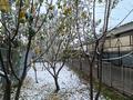 Отдельный дом · 8 комнат · 280 м² · 8 сот., Байжарасова 4 — Байжарасова-Громова за 80 млн ₸ в Каскелене — фото 46