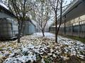 Отдельный дом · 8 комнат · 280 м² · 8 сот., Байжарасова 4 — Байжарасова-Громова за 80 млн ₸ в Каскелене — фото 48