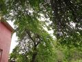 Жеке үй · 1 бөлме · 20 м² · 4.5 жүзд., Черновицкая, бағасы: 50 000 ₸ в Алматы, Жетысуский р-н — фото 3