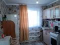 Отдельный дом · 4 комнаты · 70 м² · 10 сот., Михеева за 12 млн ₸ в Петропавловске — фото 21