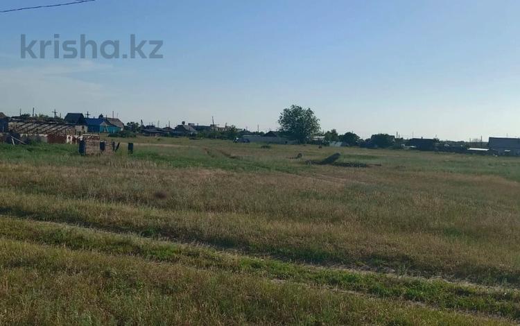 Участок · 6 га, Водный за 1.8 млн ₸ в Семее — фото 2