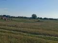 Участок · 6 га, Водный за 1.8 млн ₸ в Семее — фото 2