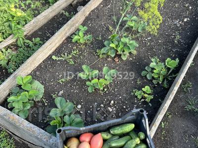 Отдельный дом · 4 комнаты · 160 м² · 4.5 сот., Николая Вавилова 66 за 40 млн 〒 в Кокшетау