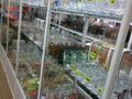 Свободное назначение, магазины и бутики · 105 м² за 110 млн ₸ в Усть-Каменогорске — фото 3
