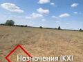Жер телімі · 500 сотық, Қошмамбет, бағасы: 60 млн ₸ в  — фото 8