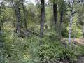 Жеке үй · 4 бөлме · 150 м² · 15 жүзд., Есим хана — Рядом горнолыжные курорт Акбулак, бағасы: 75 млн ₸ в Рыскулово — фото 5