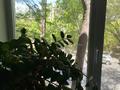 2-комнатная квартира · 51.3 м² · 2/3 этаж, ул. Сейфуллина — парк Восток за 12 млн ₸ в Темиртау — фото 24