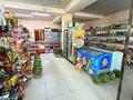 Свободное назначение · 120 м² за 336 000 ₸ в Алматы, Алатауский р-н — фото 6