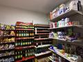 Магазины и бутики, общепит · 75 м² за 20 млн ₸ в Алматы, Медеуский р-н — фото 8