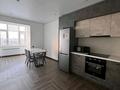 1-бөлмелі пәтер · 50 м² · 8/9 қабат, мкр Юго-Восток, Муканова 23/1 — Клиника Макажанова на Юго Востоке, бағасы: 250 000 ₸ в Караганде, Казыбек би р-н — фото 6