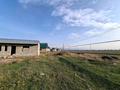 Участок · 8 соток, улица Кайсар батыр 48 за 17 млн ₸ в Кызыл ту-4 — фото 4
