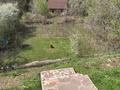 Отдельный дом · 4 комнаты · 185 м², мкр Ерменсай — Талды за 150 млн ₸ в Алматы, Бостандыкский р-н — фото 10