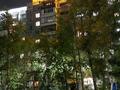2-бөлмелі пәтер · 50 м² · 9/9 қабат, мкр Юго-Восток, Мкр Юго-Восток, мкр Орбита 39, бағасы: 17.5 млн ₸ в Караганде, Казыбек би р-н — фото 4